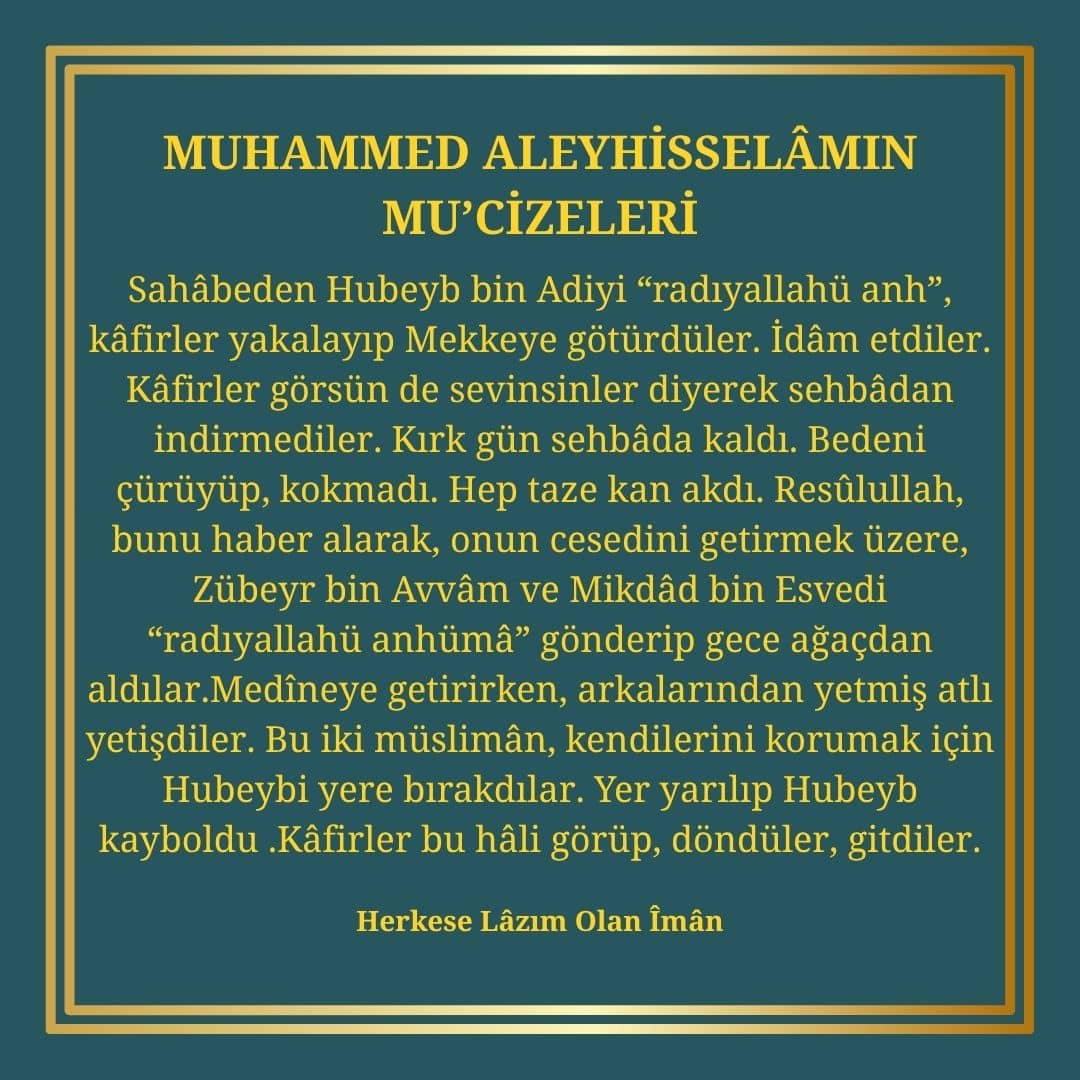 Mucizeleri (32)